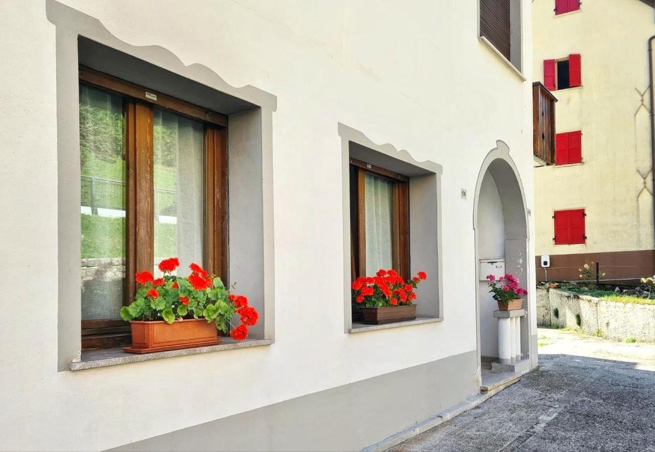 Appartamento Jever House Rigolato 외부 사진